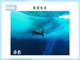 【苏教版】六下科学  4.15 多样的生物（课件+教案+同步练习+素材）