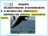 【苏教版】六下科学  4.15 多样的生物（课件+教案+同步练习+素材）