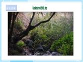 【蘇教版】六下科學(xué)  2.5 多樣的棲息地（課件+教案+同步練習(xí)+素材）