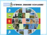 【蘇教版】六下科學(xué)  2.5 多樣的棲息地（課件+教案+同步練習(xí)+素材）