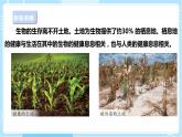 【蘇教版】六下科學  4.16 健康的土地（課件+教案+同步練習+素材）