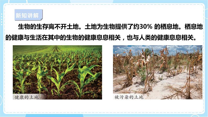 【苏教版】六下科学  4.16 健康的土地（课件+教案+同步练习+素材）03