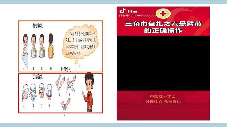 新大象版科学五年级上 3.4《 我是小小安全员》 教学课件含练习课件第8页