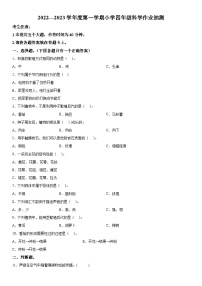 2022-2023学年广东省汕尾市城区粤教粤科版四年级上册期末考试科学试卷（含解析）