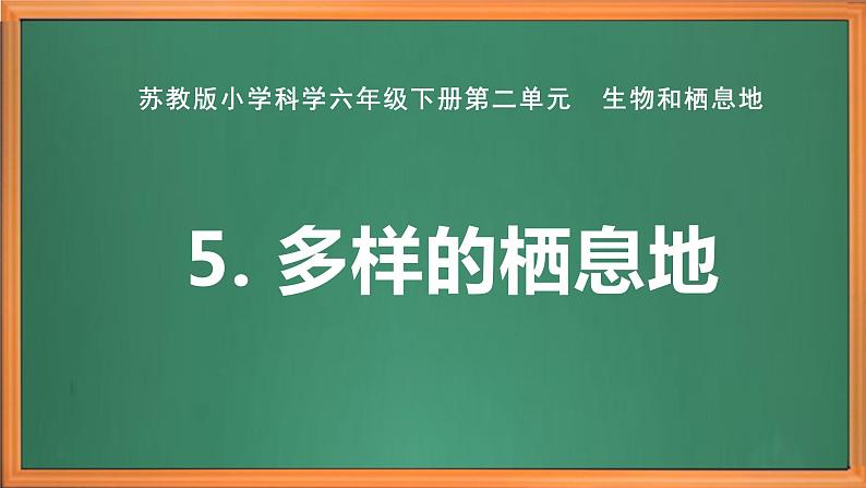 苏教版小学科学六下第二单元《5.多样的栖息地》课件+教案+视频+作业01