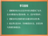 蘇教版小學科學六下第二單元《5.多樣的棲息地》課件+教案+視頻+作業(yè)