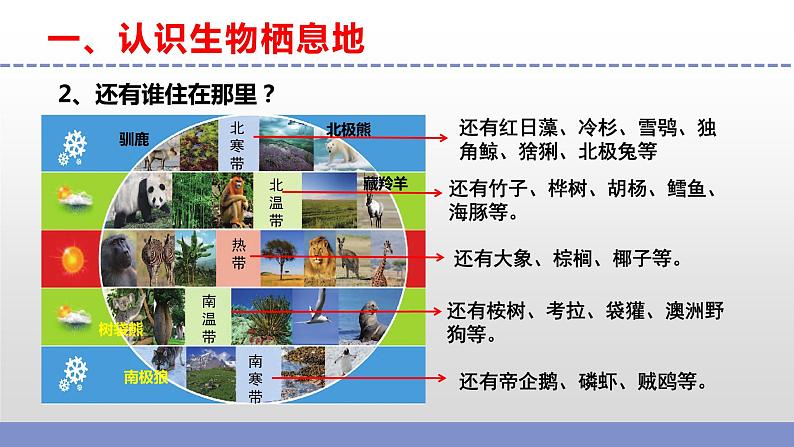 苏教版小学科学六下第二单元《5.多样的栖息地》课件+教案+视频+作业06