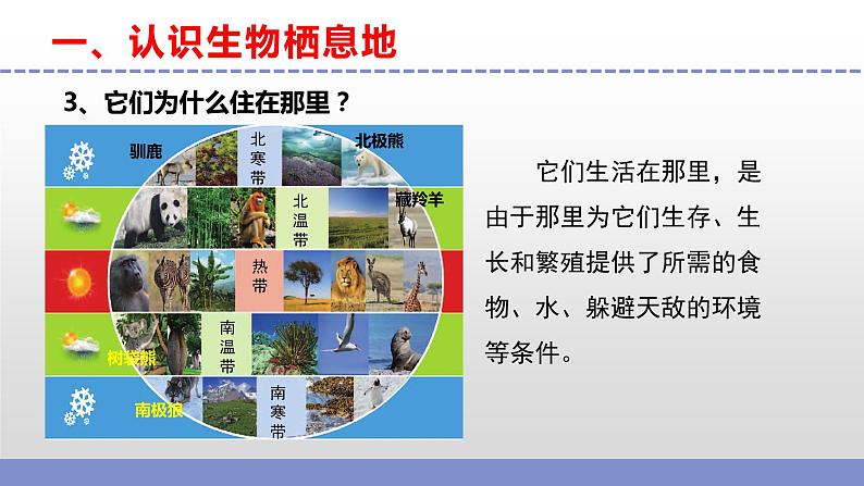 苏教版小学科学六下第二单元《5.多样的栖息地》课件+教案+视频+作业07