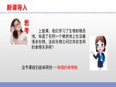 蘇教版小學科學六下第二單元《6.有趣的食物鏈》課件+教案+視頻+作業(yè)