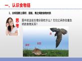蘇教版小學科學六下第二單元《6.有趣的食物鏈》課件+教案+視頻+作業(yè)