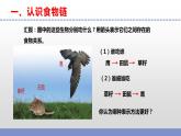 蘇教版小學科學六下第二單元《6.有趣的食物鏈》課件+教案+視頻+作業(yè)