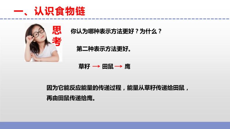 苏教版小学科学六下第二单元《6.有趣的食物链》课件+教案+视频+作业06