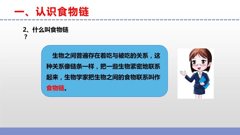 苏教版小学科学六下第二单元《6.有趣的食物链》课件+教案+视频+作业07