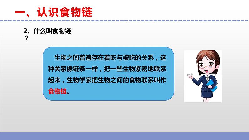 苏教版小学科学六下第二单元《6.有趣的食物链》课件+教案+视频+作业07