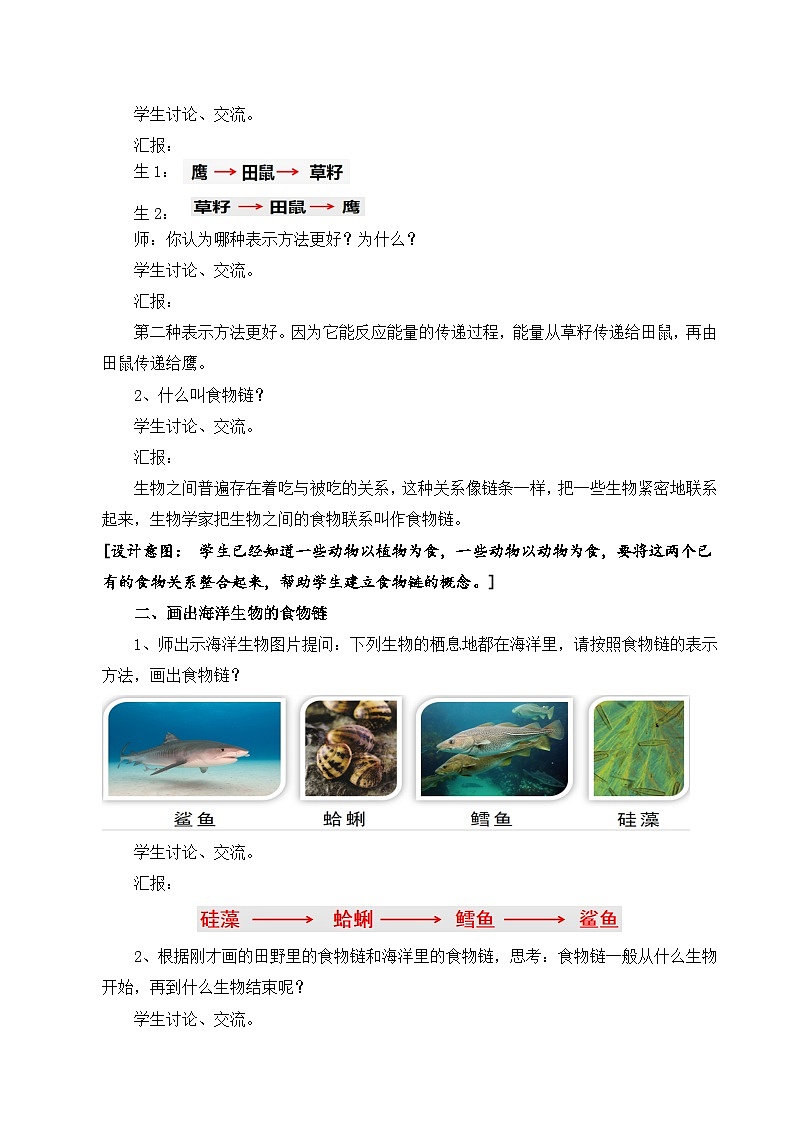 苏教版小学科学六下第二单元《6.有趣的食物链》课件+教案+视频+作业02