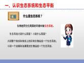 蘇教版小學科學六下第二單元《7.做個生態(tài)瓶》課件+教案+視頻+作業(yè)