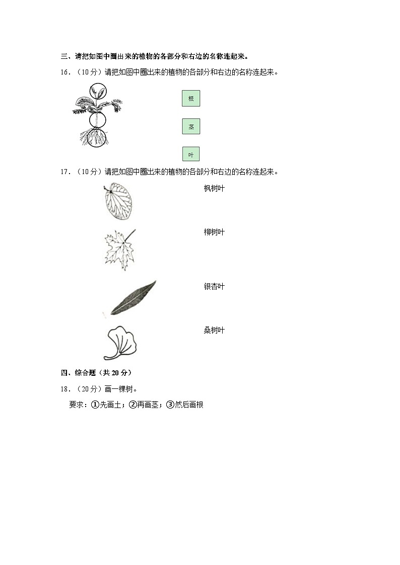 广东省湛江市金城实验学校2023-2024学年一年级上学期12月期中科学试题02