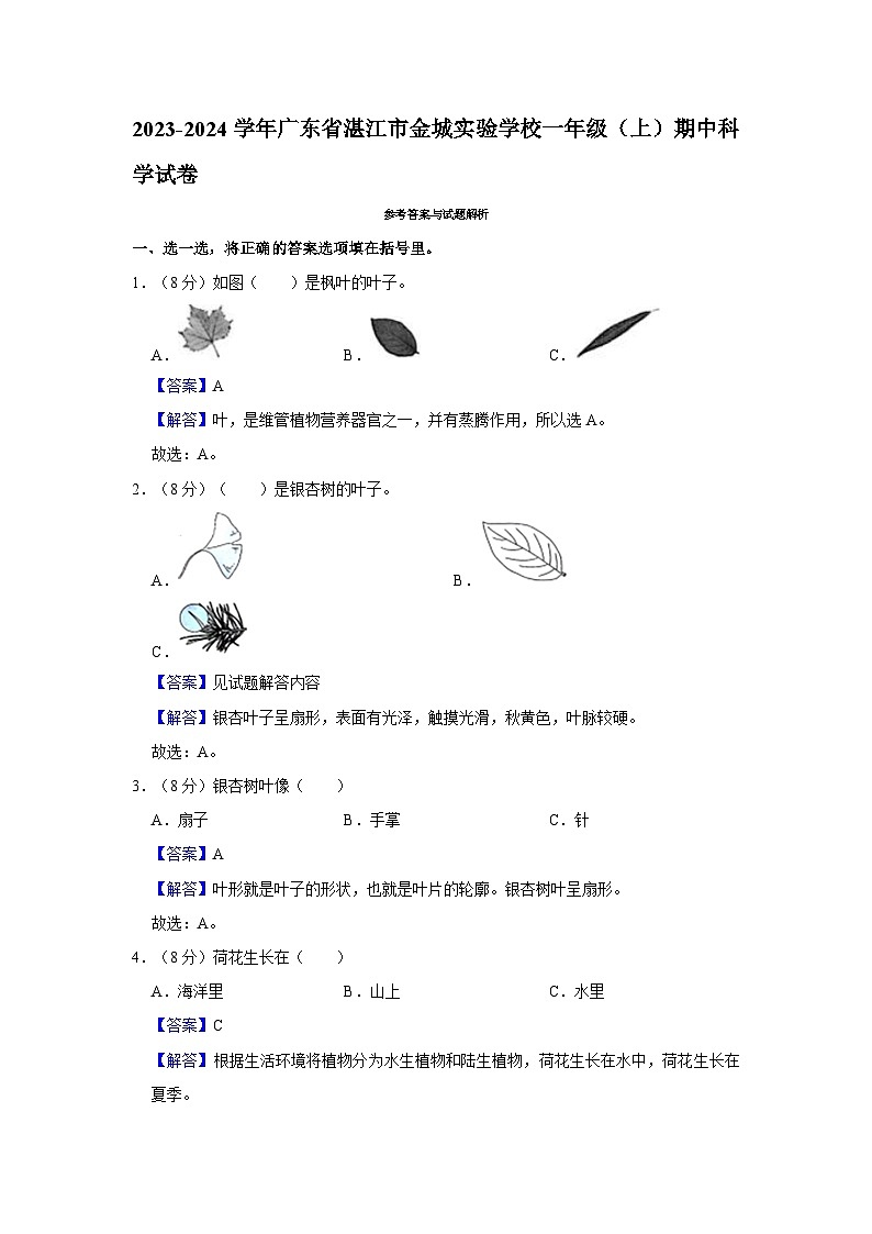 广东省湛江市金城实验学校2023-2024学年一年级上学期12月期中科学试题03