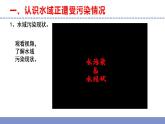 苏教版小学科学六下第四单元《13.洁净的水域》课件+教案+视频+作业