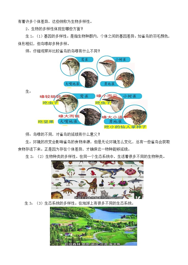 苏教版小学科学六年级下册第四单元《15.多样的生物》教案第2页