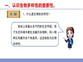 苏教版小学科学六下第四单元《15.多样的生物》课件+教案+视频+作业