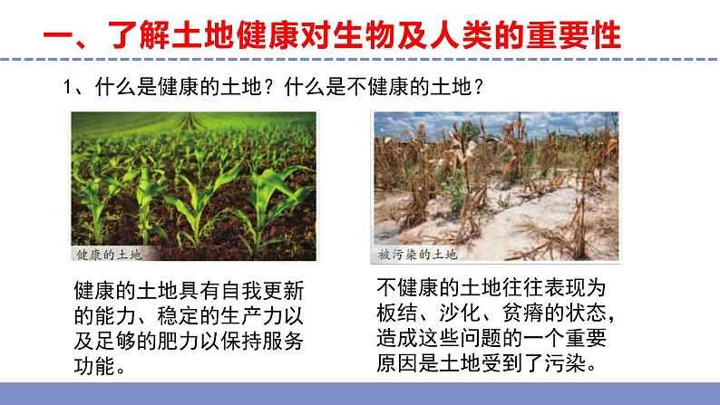 苏教版小学科学六年级下册第四单元《16 健康的土地》课件+作业设计+视频第4页