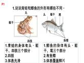 粤教版三年级科学学生活动手册第一单元答案课件PPT