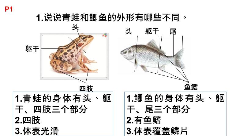 粤教版三年级科学学生活动手册第一单元答案课件PPT第1页