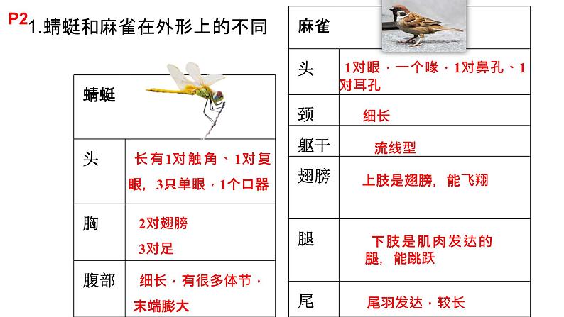 粤教版三年级科学学生活动手册第一单元答案课件PPT03