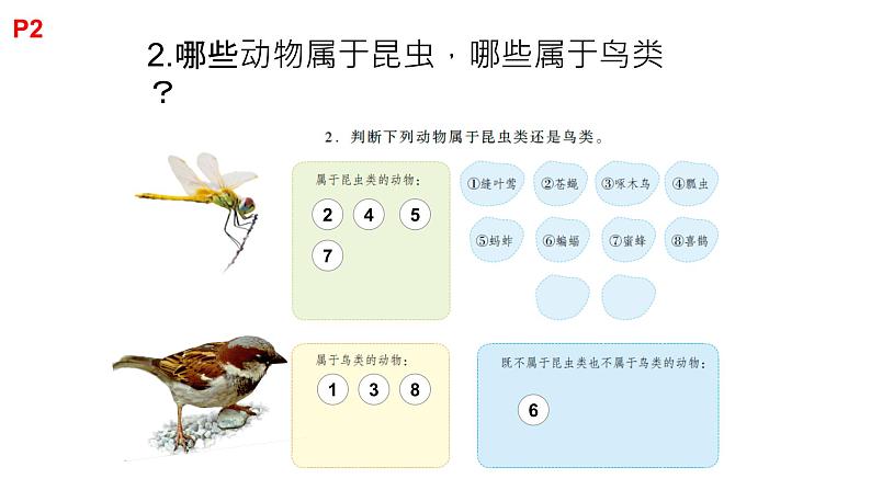 粤教版三年级科学学生活动手册第一单元答案课件PPT04