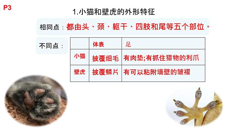 粤教版三年级科学学生活动手册第一单元答案课件PPT05