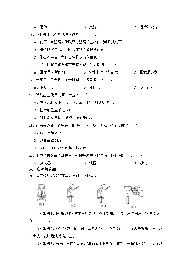 2023-2024学年科学六年级上册苏教版期末模拟卷02