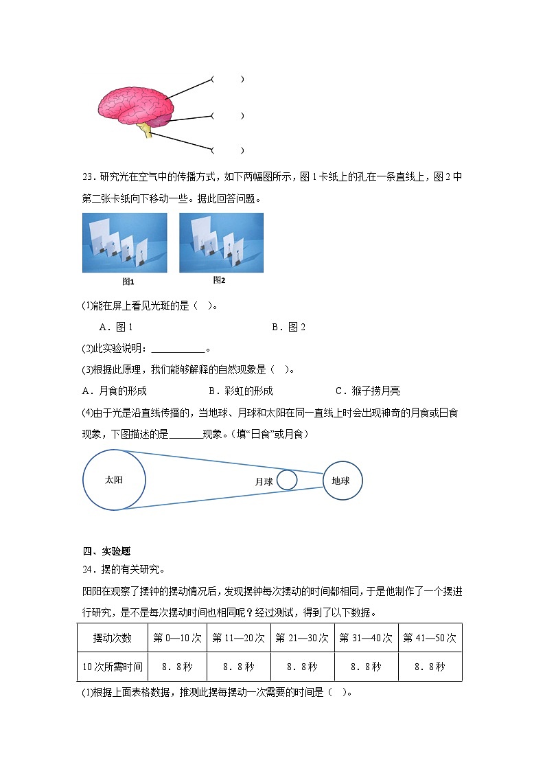 期末检测卷（一）科学五年级上册教科版03