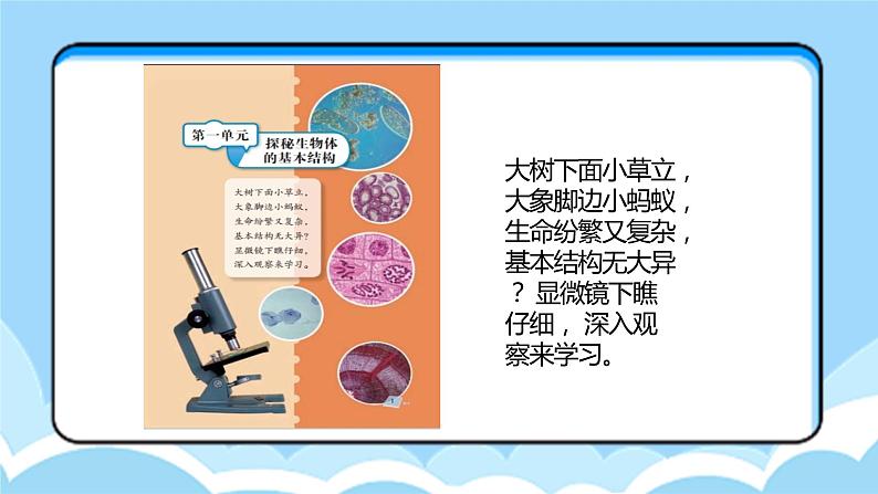湘教版版小学科学五年级下册1《神奇的显微镜》课件第2页