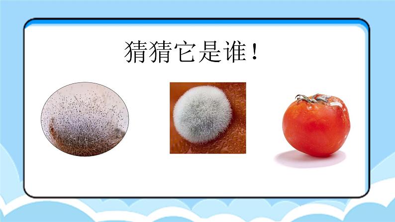 湘教版版小学科学五年级下册1《神奇的显微镜》课件第4页
