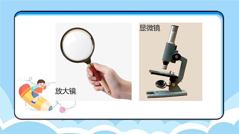 湘教版版小学科学五年级下册1《神奇的显微镜》课件第8页