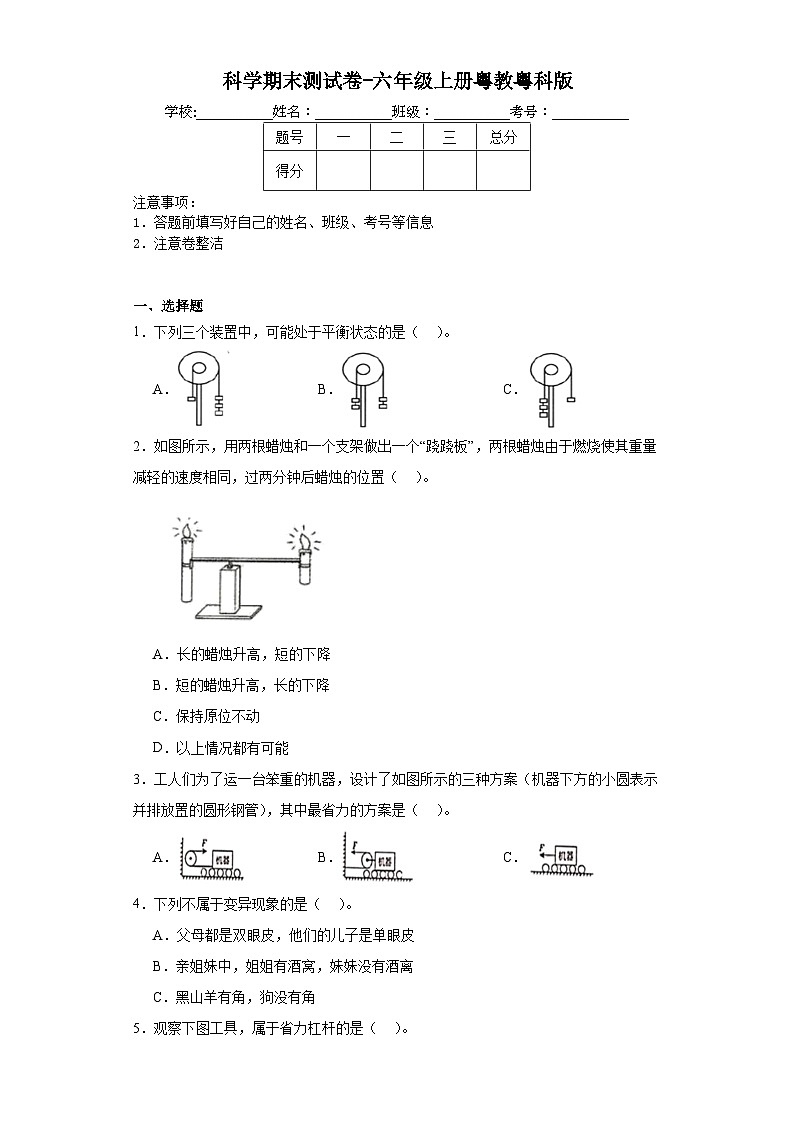 科学期末测试卷-六年级上册粤教粤科版第1页