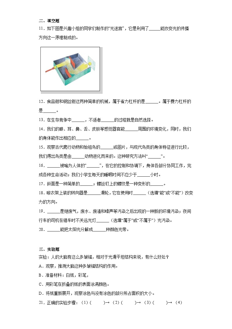 科学期末测试卷-六年级上册粤教粤科版第3页