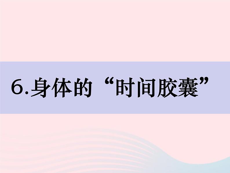 二年级科学下册我们自己2.6身体的时间胶囊精品课件教科版第1页