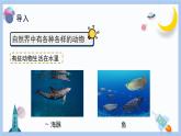 【冀人版】三下科學(xué)  第4課-種類繁多的動(dòng)物（課件+視頻素材）