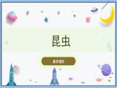 【冀人版】三下科學  第5課-昆蟲（課件+視頻素材）