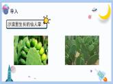【冀人版】三下科學(xué)  第6課-仙人掌與蓮（課件+視頻素材）