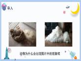 【冀人版】三下科學  第8課-動物的換毛與換羽（課件+視頻素材）