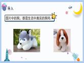 【冀人版】三下科學(xué)  第1課-生物與非生物（課件+視頻素材）