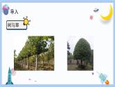 【冀人版】三下科學(xué)  第2課-樹與草（課件+視頻素材）