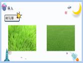 【冀人版】三下科學(xué)  第2課-樹與草（課件+視頻素材）