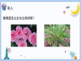 【冀人版】二下科學(xué)  第9課-種豆子（課件+視頻素材）