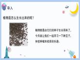【冀人版】二下科學(xué)  第9課-種豆子（課件+視頻素材）