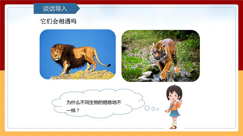 【青岛版（六三制）】 五下科学  5.19《生物的栖息地》课件第3页