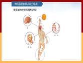 【青岛版（六三制）】 五下科学  1.2《神经系统》课件